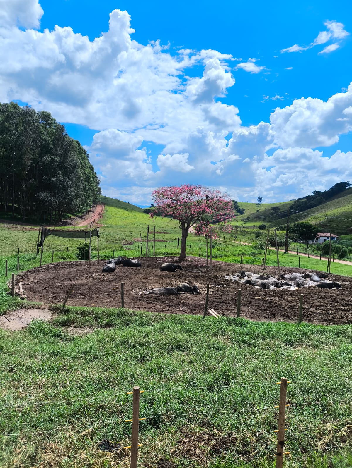 Manteiga Pérola da Serra 200g (A2A2)