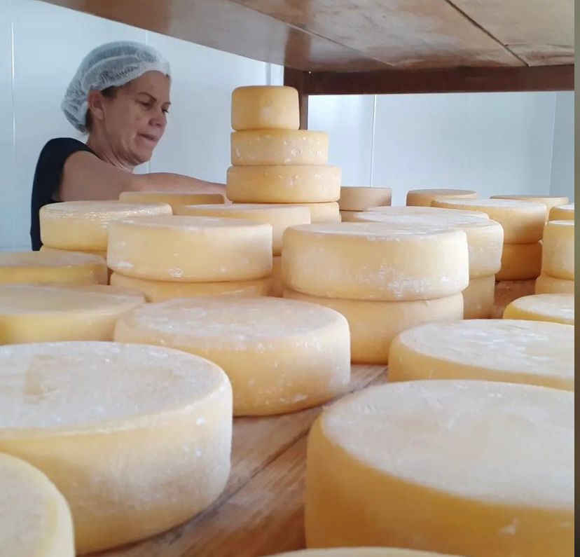Queijo Canastra Trilha da Pedra