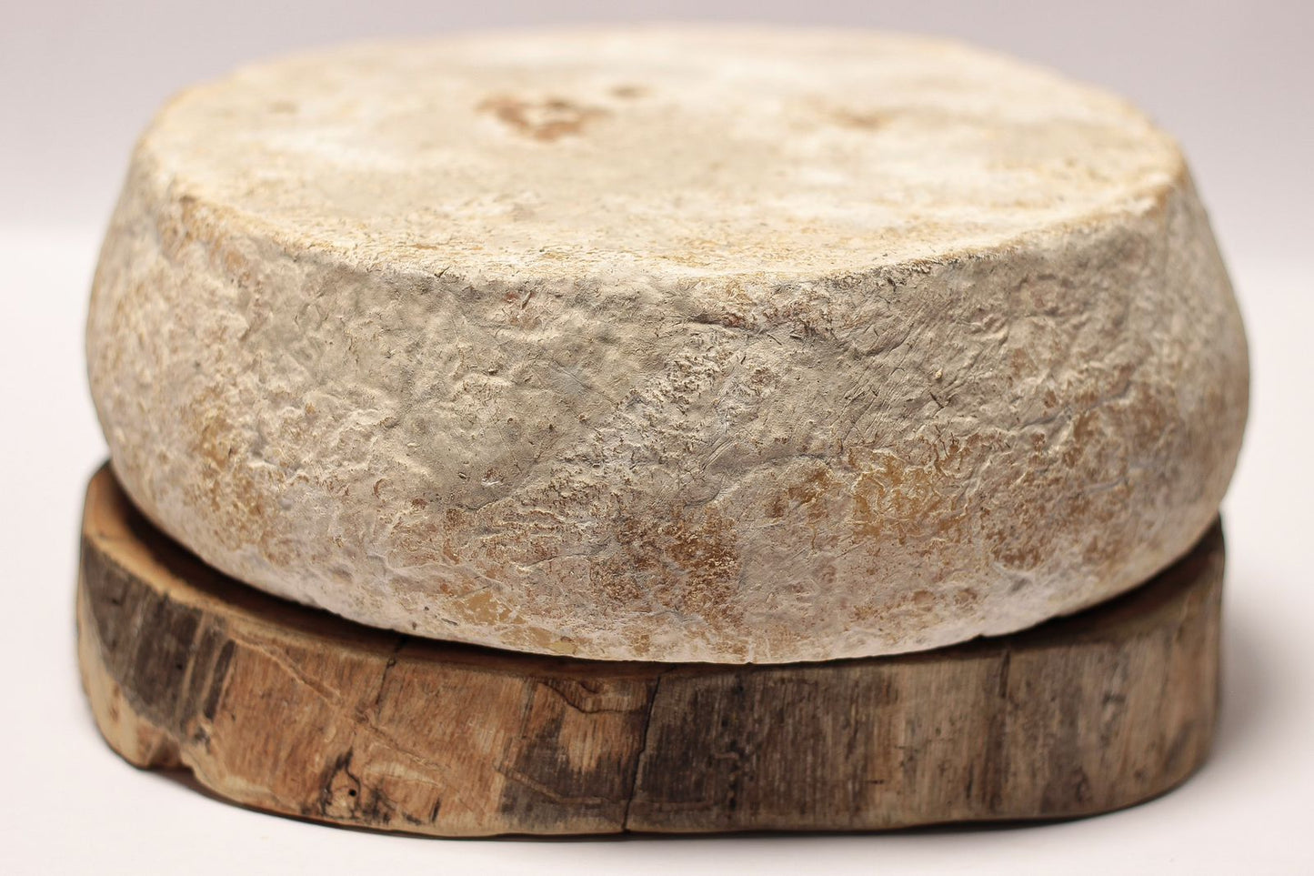 Queijo Ribeirão