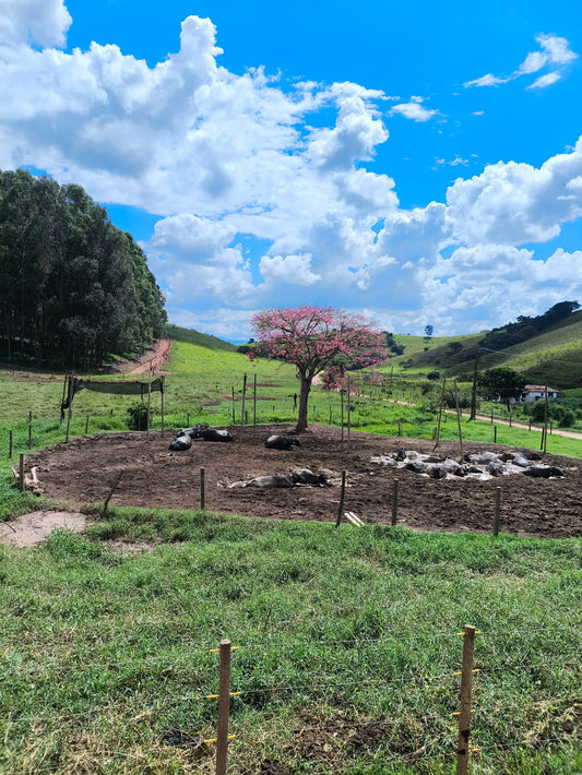 Manteiga Pérola da Serra 200g