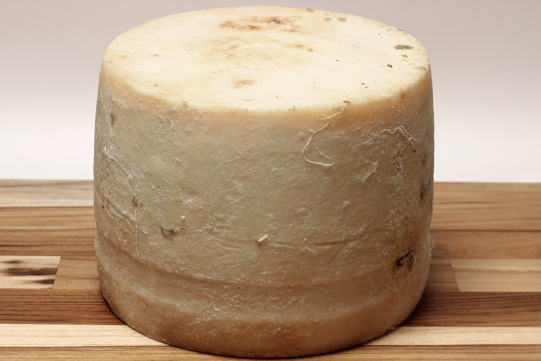 Queijo Sinueiro Jovem