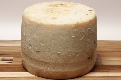 Queijo Sinueiro Jovem