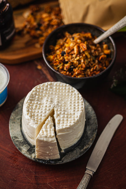 Queijo Frescal c Iogurte Santa Luzia 500g