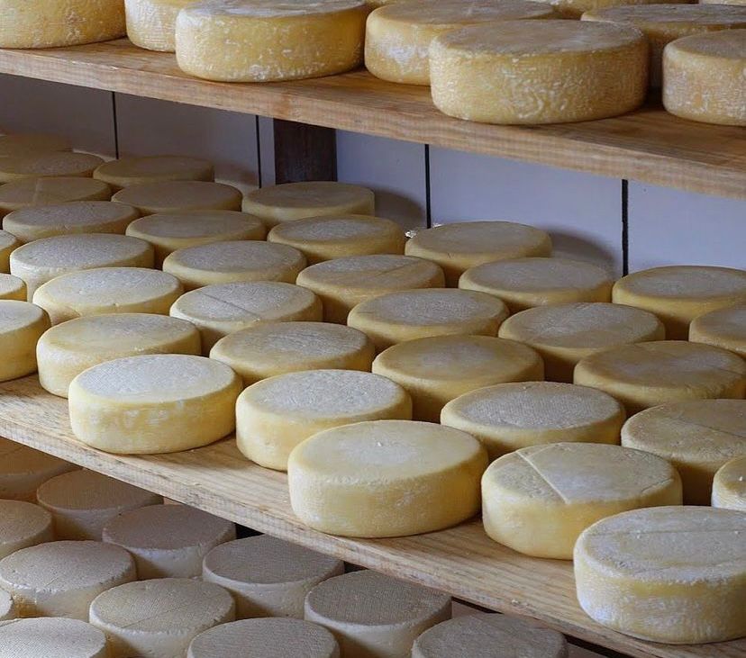 Queijo Canastra Trilha da Pedra