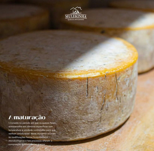 Queijo Alpino