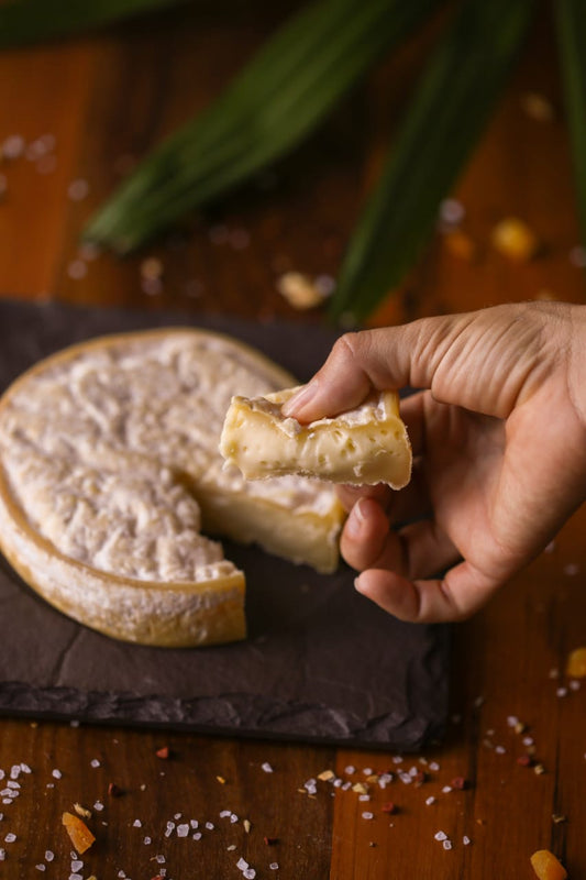 Queijo Giovanna Ribeiro Fiorentino 350g