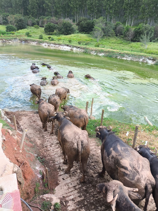 Manteiga Pérola da Serra 200g
